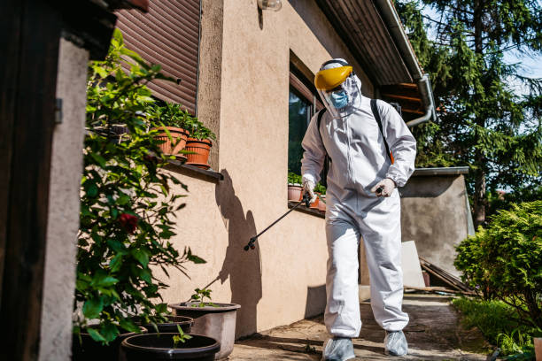 Best Pest Removal Services  in Owens Cross Roads, AL