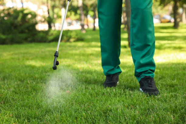 Best Pest Control Near Me in Owens Cross Roads, AL