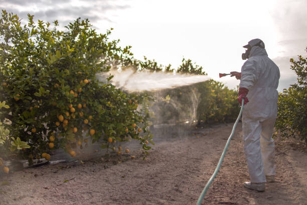 Best Best Pest Control Companies  in Owens Cross Roads, AL