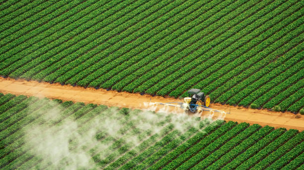 Best Commercial Pest Control Services  in Owens Cross Roads, AL